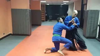 Aikido Renzoku waza