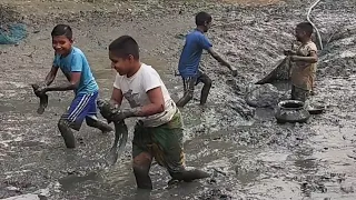 A lot of rock fish in our village canal।। fishing boats।। fishing।। fishing video। rsl fish cutting