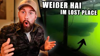 WEIßER HAI im LOST PLACE gefunden - Wie ist das passiert? | Robert Marc Lehmann