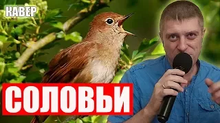 Андрей Бандера - Соловьи (кавер)