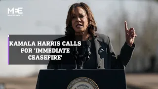 US Vice President Kamala Harris calls for 'immediate ceasefire'