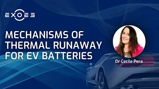 Mechanisms of Thermal Runaway for EV Batteries