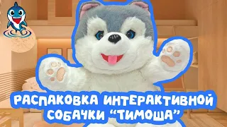 Распаковка игрушки! Распаковка интерактивной собачки Тимоша от SharkToys