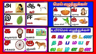 உயிர் எழுத்துக்கள் / மெய் எழுத்துக்கள்  / உயிர்மெய் எழுத்துக்கள்/ Learn Tamil ezhuthukkal / தமிழ்