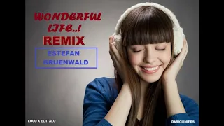 Sestefan Gruenwald  Wonderful Life REMIX