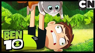 Ben is Allergic to Animals | Can I Keep It? | Ben 10 | Cartoon Network