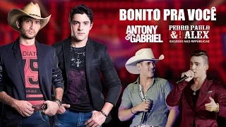 Antony e Gabriel – Bonito Pra Você ( Part. Pedro Paulo e Alex ) (Letra)