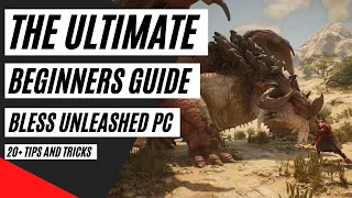 Bless Unleashed Ultimate Beginner Guide