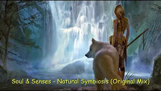 Soul & Senses - Natural Symbiosis (Original Mix) [TRANCE4ME]