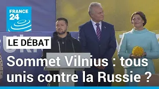 Sommet de l'Otan à Vilnius : tous unis contre la Russie ? • FRANCE 24