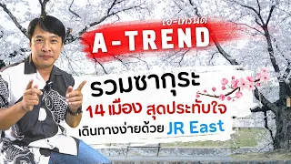 รวมซากุระ 14 เมืองสุดประทับใจ เดินทางง่ายด้วย JR East