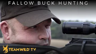 Fallow Buck Hunting With Steve Wild