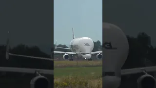 Airbus Beluga XL🐳