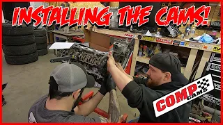 4.6 2V COMP CAMS 268 CAMSHAFT INSTALL! XE268AH 102200