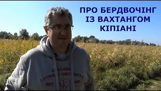 Про бердвочінг із Вахтангом Кіпіані