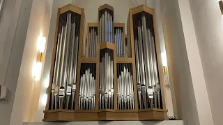 LIVE CONCERT IN HELSINKI | J. S. Bach | 2021 Kögler Organ | Suomenlinna Church | Balint Karosi | AGO