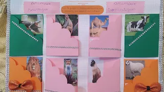 projet de classe 2 pour mes amis les animaux