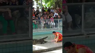 Crocodile show Pattaya.Крокодиловое шоу.