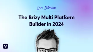 The Brizy Multi Platform Ecosystem in 2024
