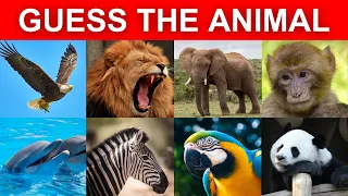 Guess The Animal in 3 Seconds 🦁 100 Random Animals | Animal Quiz 🐼