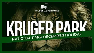 A holiday in the Kruger National Park | Land Rover Discovery 4