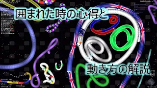 囲まれた時の心得と動き方解説 [slither.io]スリザリオ