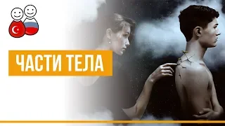 Части тела на турецком языке