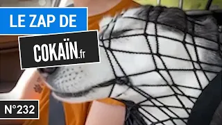 Le Zap de Cokaïn.fr n°232