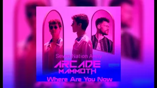 Seven Nation Army vs Arcade Mammoth vs Where Are You Now (W&W Mashup Tomorrowland 22')