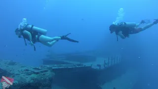 Honolulu Scuba Diving - Sea Tiger Wreck - vlog 392