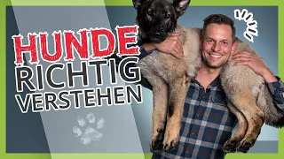 Hunde richtig verstehen [Körpersprachliche Arbeit mit dem Hund]