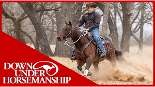 Clinton Anderson: How to Correct a Horse That Spooks - Downunder Horsemanship