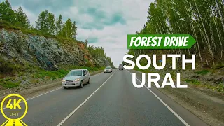 From the Deep Forest - Best for Indoor Cycling - 4K Scenic Drive through the Forests of South Ural