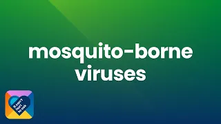 Ep 5: Mosquito Borne Viruses | It Can't Hurt To Ask podcast
