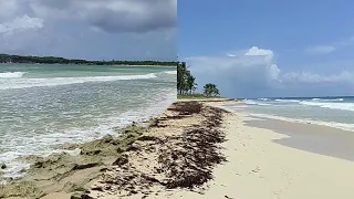 Неизведанная Доминикана 2021. Пляж Макао. Исцеляющая музыка. Звуки моря и океана. Dominicana. Macao.