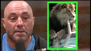 Joe Rogan - Melanie Griffith Had a Pet Lion