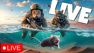 🔴LIVE DMZ - Aquatic Rat Hunting Specialists