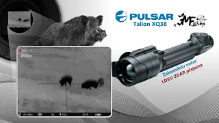 Pulsar Talion XQ38 - Lov divočáka - Hunting wildboar