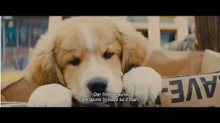 A Dog's Journey/ Câinele, adevăratul meu prieten 2 (2019) - Trailer subtitrat în română