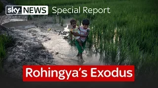 Rohingya's Exodus: A special report on Myanmar