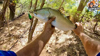 Camping/ Barra fishing/ Exploring @Hann River Roadhouse...CAPE YORK