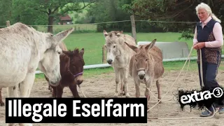 Realer Irrsinn: Abriss für Eselfarm am Ammersee | extra 3 | NDR