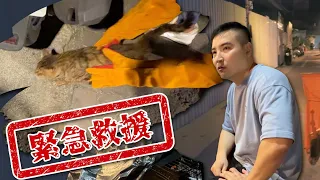 加郜的腿急需你的幫助【谷阿莫Life】233