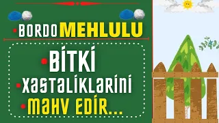 💁‍♂️ BORDO MƏHLULUNUN HAZIRLANMASI (bordo mixture) | BORDO BULAMACI | BORDO MƏHLULU | 🗓15/11/2021