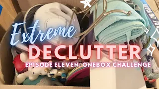 Did we maintain all our hard work? | Extreme Declutter | Episode 11 | One Box Challenge