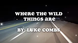 Where The Wild Things Are - Luke Combs (Lyric Video)