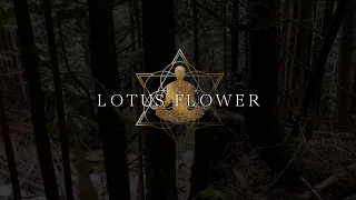 The Lotus Flower Meditation (Guided Meditation)