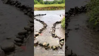 Best Fishing Video 🐟 Amazing Fishing 🔴  Fishing 🔴 Tik Tok China #shorts 0003 (3656)