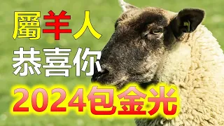 2024生肖運勢，2024十二生肖屬羊之人，2024年終於要翻身了！這八大福，你接不接？屬羊的有八大福，你們準備好了嗎？属羊人財神送財是億萬富翁、獲得六位數的收入，十二生肖運勢運程大分析。往期視頻直播