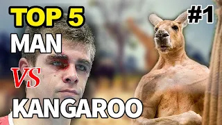 Kangaroo Fights Man | Kangaroo vs Human | Kangaroo Fight | Kangaru 😃